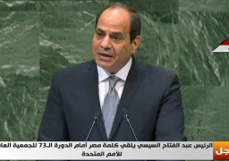 السيسي: علينا أن نعترف ان ثمة خلل يعترى اداء المنظومة الدولية