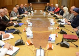 وزيرا الإنتاج الحربى والصحة يبحثان إنشاء مصنع لإنتاج أدوية الأورام