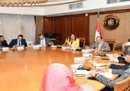 وزيرا التجارة والتخطيط يبحثا تحسين وزيادة معدلات التصدير في إطار رؤية مصر 2030
