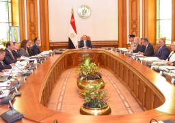 “القومى للمدفوعات” برئاسة السيسي يحيل “تنظيم وسائل الدفع غير النقدى” للحكومة