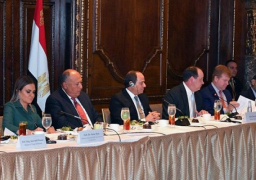 الرئيس السيسي يؤكد حرص مصر على تطوير الشراكة الاقتصادية مع الولايات المتحدة لخدمة مصالح البلدين