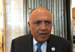 وزير الخارجية بنيويورك يطالب بإنهاء الصراع بالقضية الفلسطينية وإقامة دولة