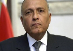 شكري يؤكد علي الخطر الذي يمثله انتقال المقاتلين الأجانب من إدلب لدول المنطقة