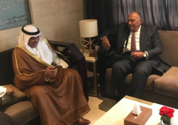 شكري يبحث ونظيره الكويتي العلاقات الثنائية والقضايا الإقليمية والدولية