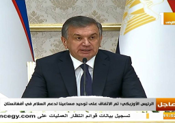 رئيس أوزبكستان: زيارة السيسي تاريخية ولدينا تقارب في وجهات النظر
