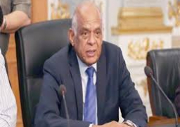 الاتفاق على تعزيز العلاقات المصرية القبرصية وتطويرها بما يفيد مصلحة البلدين