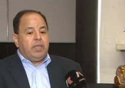 وزير المالية يصدر الدليل التطبيقى لسعر الضريبة المحايد فى المعاملات التجارية