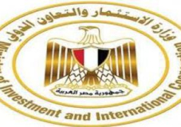 الاستثمار تطلق موقع تقديم طلبات الاشتراك فى مبادرة اختيار 100 شركة ناشئة بأفريقيا