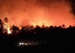محافظ الوادى الجديد : 37 مصاباً جراء حريق قرية الراشدة تماثل معظمهم للشفاء
