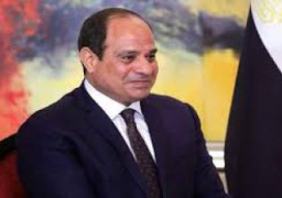 الرئيس السيسى يبحث اليوم ببرلين مع شتاينماير زيادة الاستثمارات والسياحة الألمانية في مصر