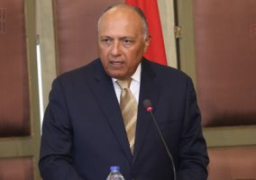 شكري يبحث مع رئيسة وزراء صربيا الارتقاء بالعلاقات الثنائية بين البلدين