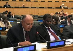 وزير الخارجية يؤكد إن الاتحاد من أجل المتوسط يمثل محفلا إقليميا فريدا ويوفر منصة إقليمية للحوار السياسى