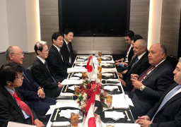 شكرى يستعرض”الإصلاح الاقتصادي” مع مجلس الأعمال الياباني المصري