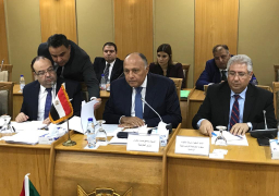 شكري يثمن التطورات الإيجابية للعلاقات مع السودان