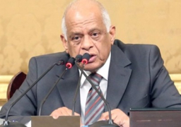 عبد العال يبحث مع رئيس مجلس الأمة الجزائري تعزيز العلاقات الثنائية