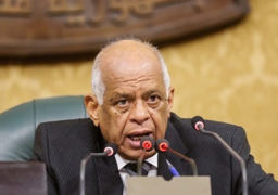 علي عبد العال يتوجه في زيارة رسمية إلى جمهورية نيجيريا الاتحادية على رأس وفد برلماني