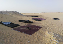 مقتل 11 إرهابيا في تبادل لإطلاق النار مع الشرطة بطريق الفرافرة