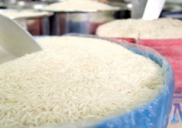 مصر تستورد 75 ألف طن أرز خلال 9 شهور