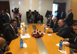 وزير الخارجية يبحث تطورات مفاوضات سد النهضة والعلاقات الثنائية مع نظيره الإثيوبي