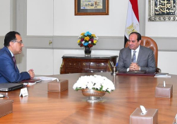 الرئيس السيسي يوجه بتكثيف العمل لتنفيذ خطة التحول إلى الحكومة الرقمية