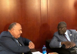 شكري يلتقي مع وزير خارجية النيجر على هامش الاجتماعات التمهيدية للقمة الأفريقية الاستثنائية