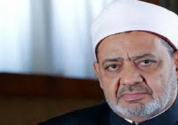 الإمام الأكبر يلتقي وزير الداخلية الإماراتى على هامش أعمال ملتقى تحالف الأديان بأبوظبي