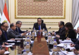 الحكومة تشكل لجنة من الوزارات المعنية بالأمن الغذائى لتوفير السلع الاستراتيجية