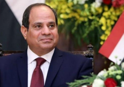 السيسى يوافق على اتفاقى قرض بـ 105 ملايين دولار لمشروع محطة أبو رواش