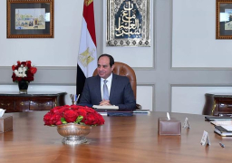 الرئيس السيسى يلتقى مع رئيس الهيئة العربية للتصنيع