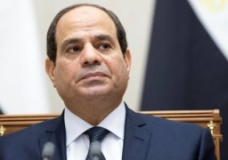 قراران للرئيس السيسى لإعادة تأهيل محطات الصرف والرى.. وتوريد 32 قطارا من كوريا