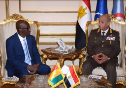 بالصور.. وزير الدفاع يبحث العلاقات العسكرية مع نظيره الغيني
