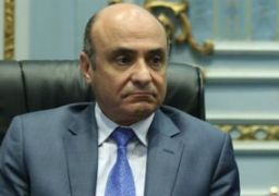 الحبس سنة وغرامة 50 ألف لمن يتاجر أو يستورد ويصنع أسلحة بيضاء بدون ترخيص