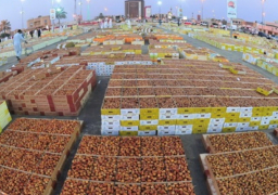 انطلاق مهرجان التمور المصرية الرابع فى سيوة تحت رعاية الرئيس السيسى