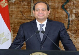 الرئيس السيسى يصدر عدة قرارات جمهورية