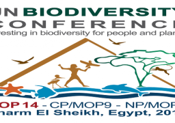 انطلاق اعمال مؤتمر الامم المتحدة للتنوع البيولوجى