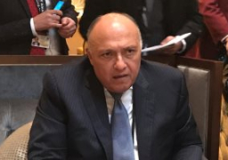 الخارجية تتابع الحالة الصحية لمصابى حادث سير فى الكويت