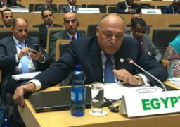 شكرى يشارك في جلسة الاجتماعات التمهيدية للقمة الأفريقية