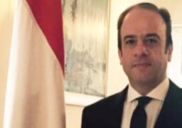 مصر تؤكد مواصلة جهودها الرامية لتحقيق التهدئة فى قطاع غزة