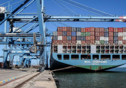 ميناء غرب بورسعيد يستقبل 5900 طن حديد