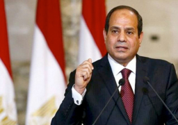 الرئيس السيسي يتلقى اتصالا هاتفيا من رئيس تتزانيا