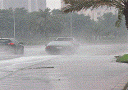 اليوم..أمطار على السواحل الشمالية والعظمى بالقاهرة 17