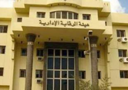 دعما لجذب الاستثمارات الأجنبية الرقابة الإدارية تنتهي من أول دراسة متكاملة لحل قضايا الاستثمار