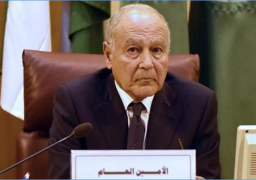 أبو الغيط يؤكد ضرورة إعداد التعليم والتوظيف لمواكبة الاقتصاد الرقمي