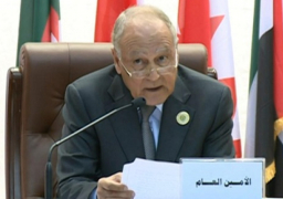 الأمين العام للجامعة العربية يوجه رسائل لعدد من قادة العالم حول خطورة الأوضاع في فلسطين في ظل تفشي ” كورونا”