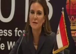 وزيرة الاستثمار: نتحرك لإنشاء محطات تحلية المياه بسيناء من أجل التنمية