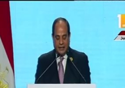 السيسي: إنشاء صندوق للاستثمار فى البنية التحتية المعلوماتية لتطوير إفريقيا