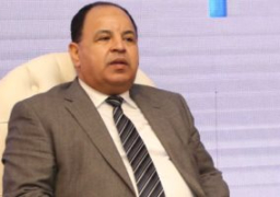 وزير المالية : صرف مرتبات موظفى الدولة 24 ديسمبر