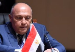 وزير الخارجية يراس وفد مصرخلال الاجتماع الثامن لمجلس المشاركة بين مصر والاتحاد الأوروبي