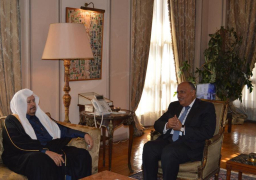 شكري يبحث آفاق العلاقات المصرية السعودية المُشتركة مع رئيس مجلس الشورى السعودي