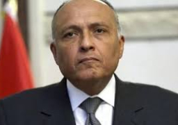 وزارة الخارجية تعرب عن استهجانها وإدانتها الشديدة لما تضمنه البيان الصحفي الصادر عن المقررة الخاصة لمجلس حقوق الإنسان المعنية بالحق في السكن اللائق من وقائع مزيفة حول سياسات الدولة في مجال الإسكان